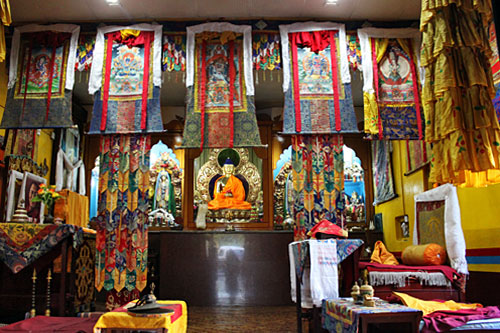 Pokhara-Shree-Gaden-Dhargay Ling Monastery12 Altar at Shree Gaden Dhargay Ling Monastery
