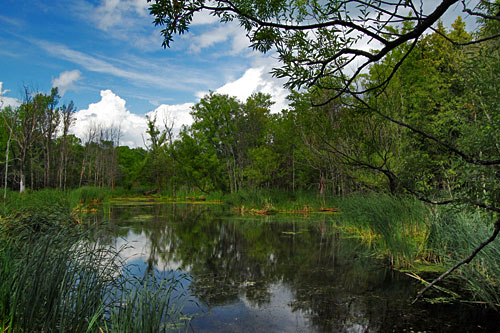 Point-au-Roche-Park3 Backwaters of Lake Champlain at Point au Roche Park